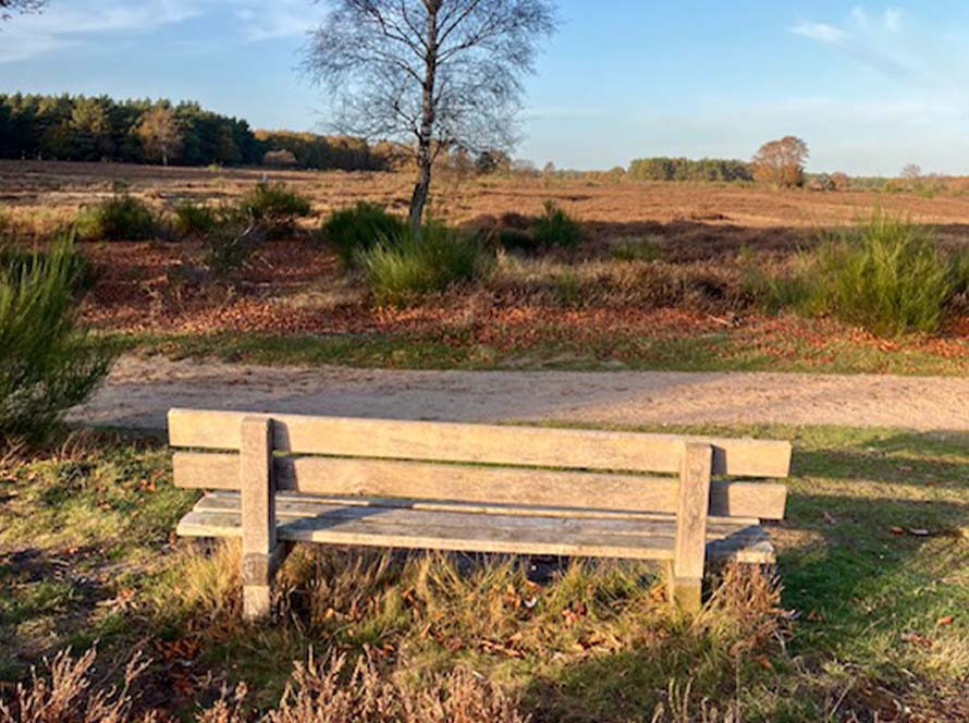 Ria de Rooij wandelcoach