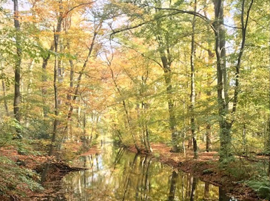 Lichamelijk en mentaal in beweging